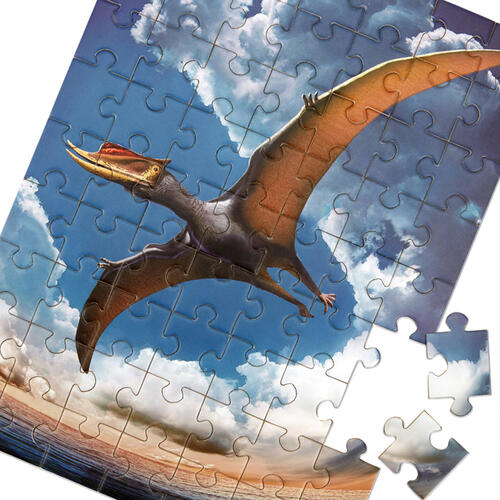 Cubicfun Stegosaurus/Pterosaur (Jigsaw) -Assorted