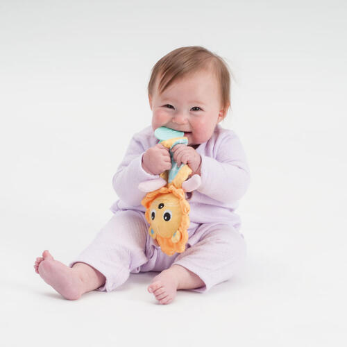 Top Tots Soft Animal Teether - Assorted