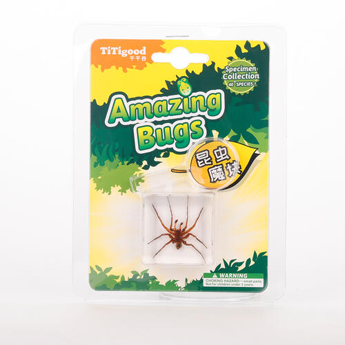 Titigood Natural Module Specimen Toy - Assorted