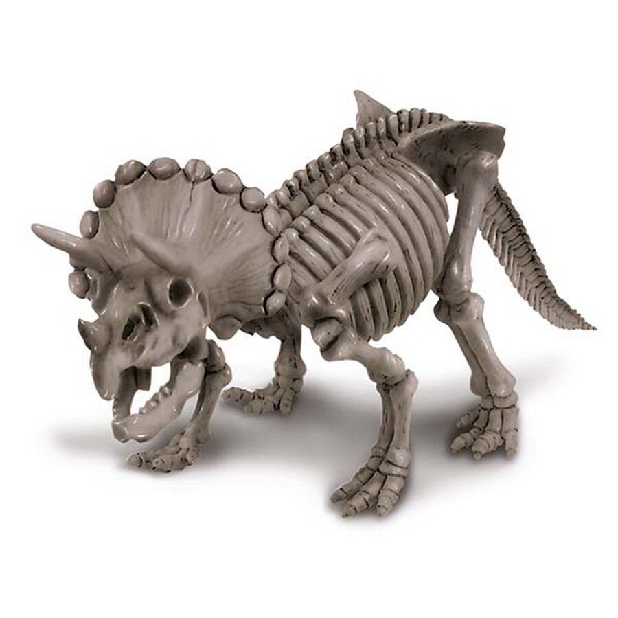 大人 可愛い 服  Dinosaur A Dig 4M Skeleton China – Toys”R”Us | Triceratops 邦楽