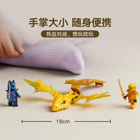 LEGO Ninjago 71803 Arin'S Rising Dragon Strike