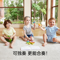Hape哈佩 五合一自然交响乐套装