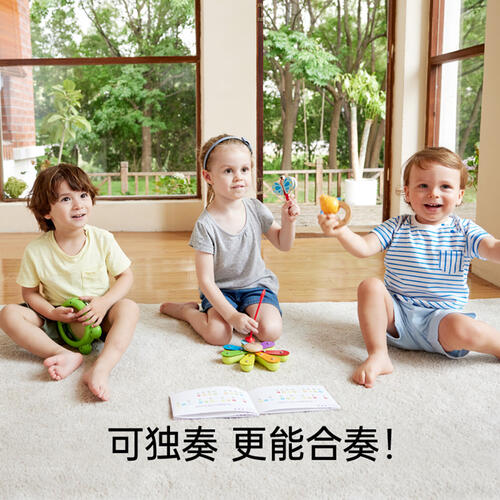 Hape哈佩 五合一自然交响乐套装