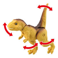 Ania Dinosaur Capsule - Assorted
