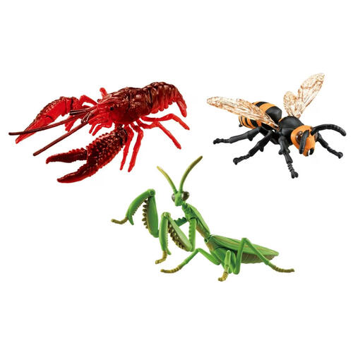 Ania Summer Vacation Gift Set