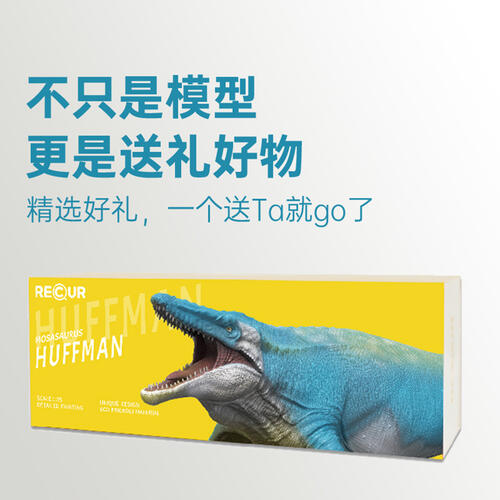 Recur Mosasaurus Hoffmann