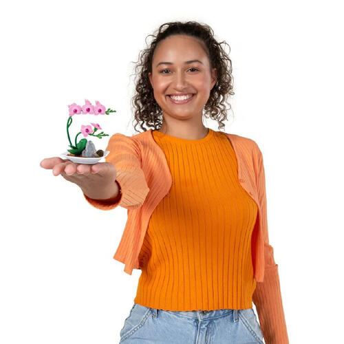 筑榆 指尖收藏家之迷你花园 - 随机发货