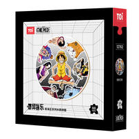 Toi One Plece Puzzle Series With Frame - Assorted