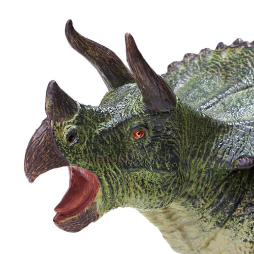 Recur Sterrholophus Marsh
