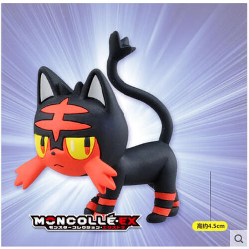 Pokemon 宝可梦 EX Asia-10