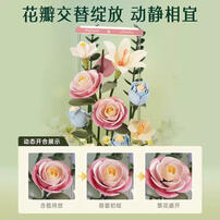 Rokr Blooming Bouquet Box