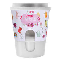 Mini Garden Self-Absorbent Planting - Assorted