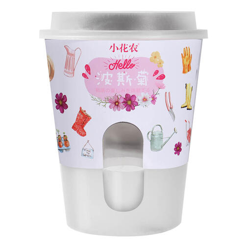 Mini Garden Self-Absorbent Planting - Assorted