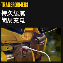 Bumblebee Remote Control Robot
