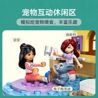 LEGO乐高 好朋友系列 42647 佩斯利的音乐之家