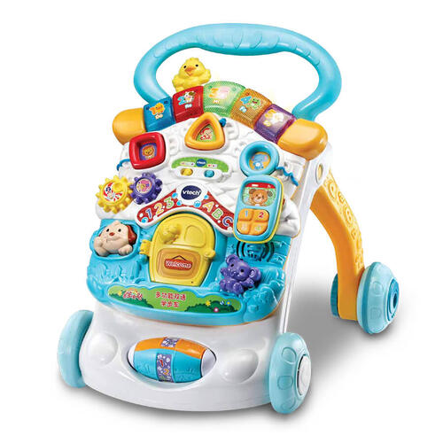 Vtech Bilingual Sit-To-Stand Walker - Assorted