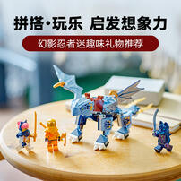 LEGO  Ninjago Young Dragon Riyu 71810 
