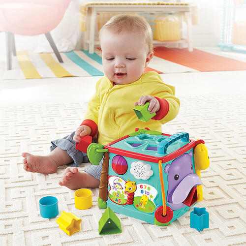 Fisher Price Brand baby learning toys Play & Learn Activity Cube