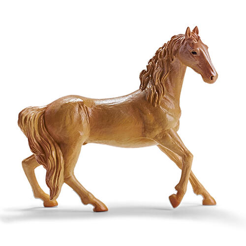 Recur Akhal-Teke Horses