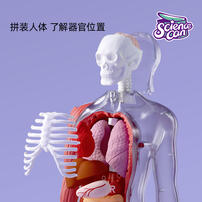 Science Can Our Body Voice Pedia - Assorted