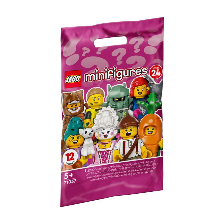 LEGO Minifigures LEGO Minifigures Series 24 71037 Toys R Us