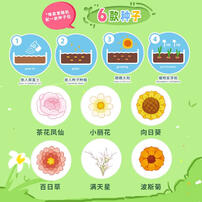 Crayon Shin-Chan  Mini Garden - Assorted