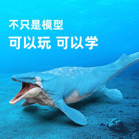 Recur Mosasaurus Hoffmann