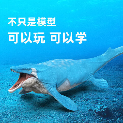 Recur Mosasaurus Hoffmann
