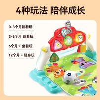 Vtech Kick & Score Playgym