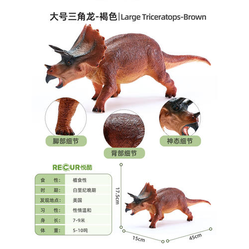 Recur Sterrholophus Marsh 