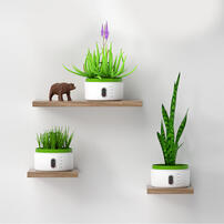 Science Can Plant Growth Station