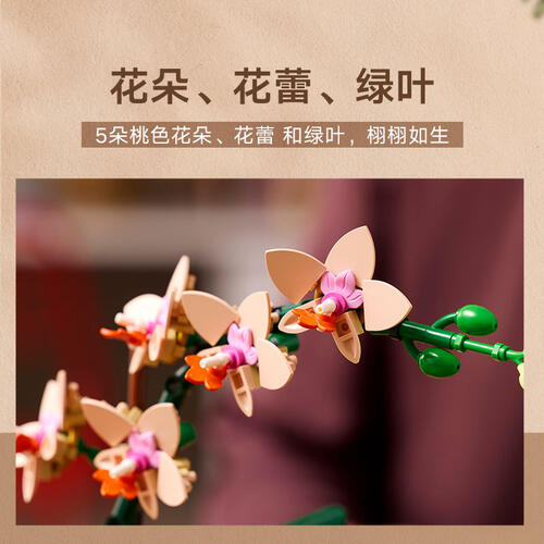 LEGO乐高 10343 典雅兰