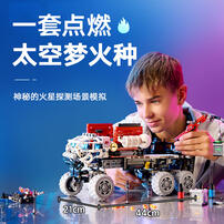 LEGO Technic Mars Crew Exploration Rover 42180