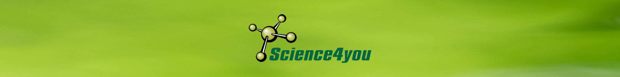 Search banner