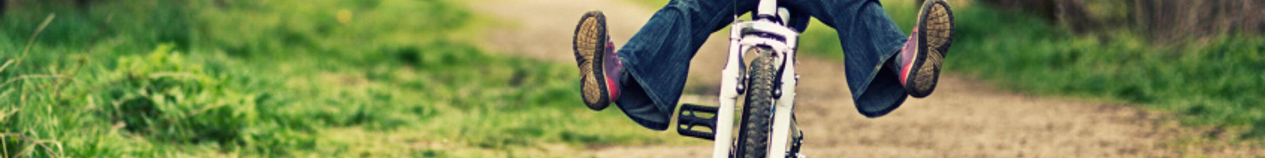 Search banner